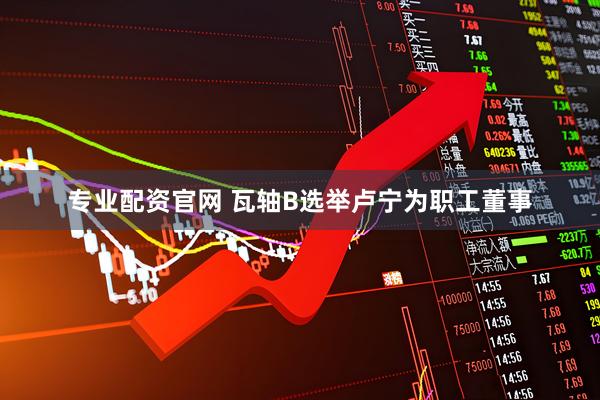 专业配资官网 瓦轴B选举卢宁为职工董事