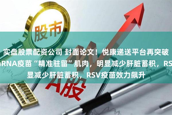 实盘股票配资公司 封面论文！悦康递送平台再突破：新型LNP让mRNA疫苗“精准驻留”肌肉，明显减少肝脏蓄积，RSV疫苗效力飙升